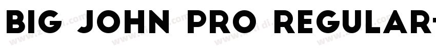 Big john pro regular字体转换